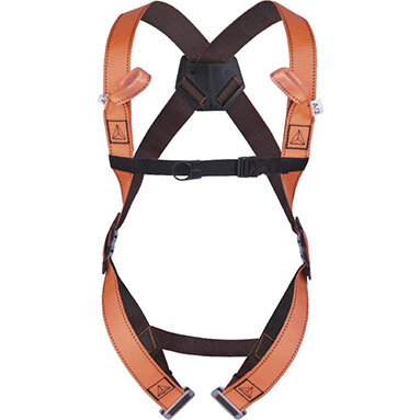 Fall Arrest Full Body Harness - 2 Attachment Points - Delta Plus