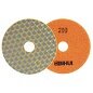 Bihui Diamond Polishing Pad - 200 Grit (Medium)