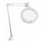 Daylight Mag Lamp S - LED Magnifying Lamp 5 inch DN1200