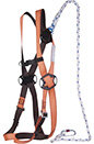 Fall Restraint Kit - Cherry Pickers / Platforms - Delta Plus