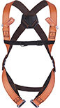 Fall Arrest Full Body Harness - 2 Attachment Points - Delta Plus